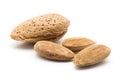 Almond nut