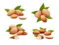 Almond nut compositions set, food vector drawing Royalty Free Stock Photo