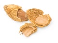 Almond nut