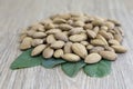 Almond nut on green leaf on wood background