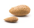 Almond nut