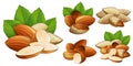 Almond kernel with green leaves isolated set Royalty Free Stock Photo