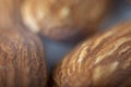 Almond nut shot in close-up macro photography