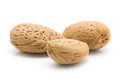 Almond nut