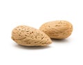 Almond nut