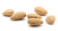 Almond nut