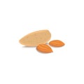 Almond nut vector illustration