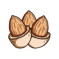 Almond nut