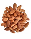 Almond nuts or Badam or Lauz or amÃÂªndoa or badem or mandle  oÃâ¢echor or mandel or amandel or  Prunus dulcis in white background Royalty Free Stock Photo