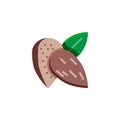 Almond nuts flat icon