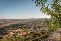 Almond nuts growing on a tree branch in almond orchard. Selective focus. Landscape for the view to Freixo de Numao, Vila Nova de Royalty Free Stock Photo