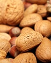 Almond nuts and hazelnut background. Almond with shell. Selective focus Royalty Free Stock Photo