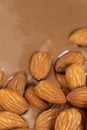 Almond nuts in melted milk chocolate macro Royalty Free Stock Photo
