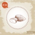 Almond nuts seed group sketch. Vector hand drawn illustration. Organic superfood. Highly detailed.