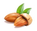 Almond nuts whole, green leaves