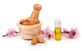 Almond oil and almond nuts with flowers Royalty Free Stock Photo