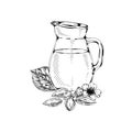 Almond oil jug, retro hand drawn vector illustration. Royalty Free Stock Photo