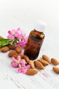 Almond oil in a small bottle and scattered almonds nuts and flow Royalty Free Stock Photo