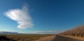 Almond Orchard under lenticular clouds in Central California near Bakersfield California Royalty Free Stock Photo