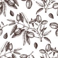 Vector Almond background. Hand drawn nut tree sketch. Botanical seamless pattern. Vintage tonic plant drawing.