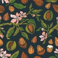 Almond print. Vector vintage color illustration Royalty Free Stock Photo
