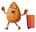 Almond is ready for travelling, illustration, vector