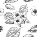 Almond seamless background, retro hand drawn vector illustration.