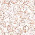 Almond seamless pattern. Vector floral background Royalty Free Stock Photo