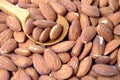 Almond seeds background