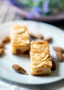 Almond slices with whole almonds on a plate Royalty Free Stock Photo