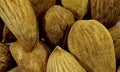 Almond.Almond Groups. Royalty Free Stock Photo