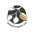 Almond symbol. Vector branch, nut. Graphic illustration Royalty Free Stock Photo