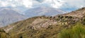 Almond trees in bloom near Trevelez, Granadan Alpujarra, Spain