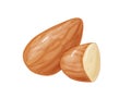 Almond. Two whole almonds nuts without shell.