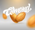 ALMOND typography with realistic illustration of almonds. Modern brush calligraphy. 3d illustration. Template for packaging design