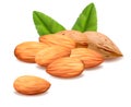 Almond.Vector