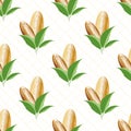 Almond vector seamless pattern background. Clusters of golden oval nuts with leaves on white grid backdrop. Kernel seed Royalty Free Stock Photo