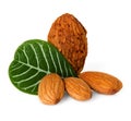 Almonds