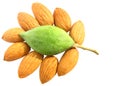 Almonds delight green raw and dry Royalty Free Stock Photo