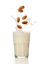 Almonds falling into almond milk. Royalty Free Stock Photo