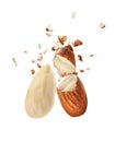 Almonds fragmented on a white background.