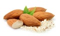 Almonds and grated almonds Royalty Free Stock Photo