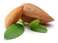 Almonds and green leaves isolated on white Royalty Free Stock Photo