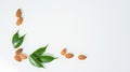 Almonds and green leaves isolated on a white background. spring composition, top view. nutritious nut, healthy nutrition