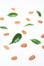 Almonds and green leaves isolated on a white background. spring composition, top view. nutritious nut, healthy nutrition
