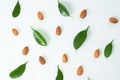 Almonds and green leaves isolated on a white background. spring composition, top view. nutritious nut, healthy nutrition