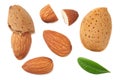 almonds with green leaves isolated on white background. top view Royalty Free Stock Photo
