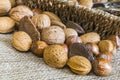 Almonds, hazelnuts, walnuts and brazil nuts