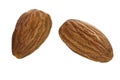 Almonds isolated closeup without shell as package design element collection on white background. Nut macro. Almond kernels Royalty Free Stock Photo