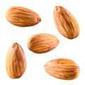 Almonds isolated on white background. Collection Royalty Free Stock Photo